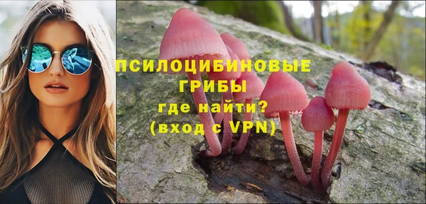стафф Аркадак