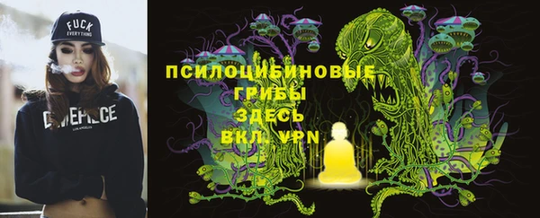 бутират Арсеньев