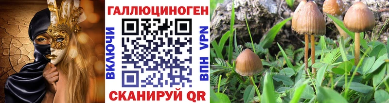 Псилоцибиновые грибы мухоморы  Спасск-Дальний 